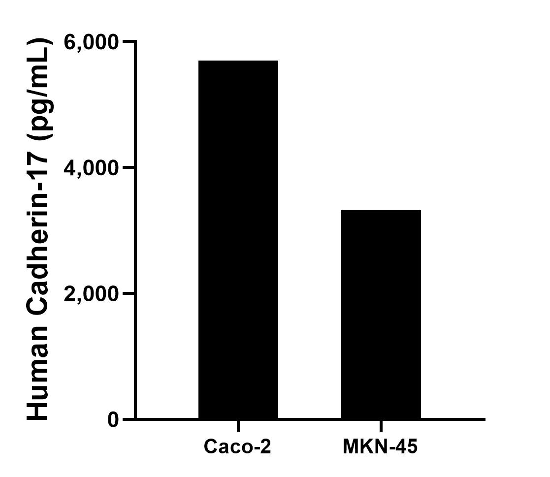 Sample test of MP00742-4